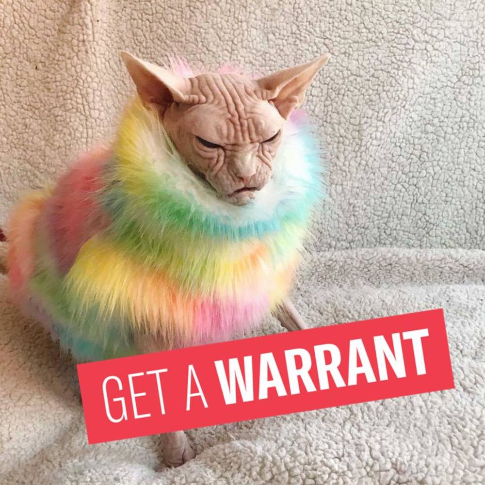 Meet your Posher, Kate